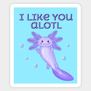 I like you a lot, cute axolotl Magnet